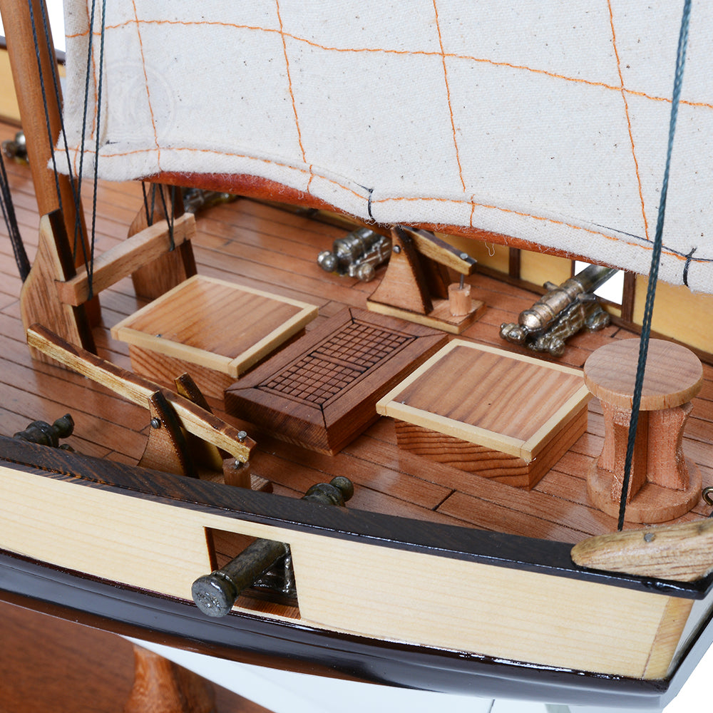 Lynx Painted Tall Ship Model Captain Line
