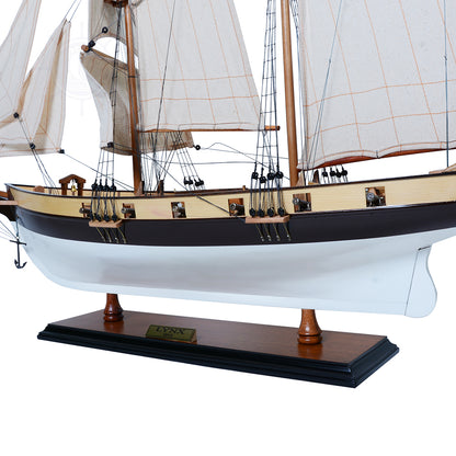 Lynx Painted Tall Ship Model Captain Line