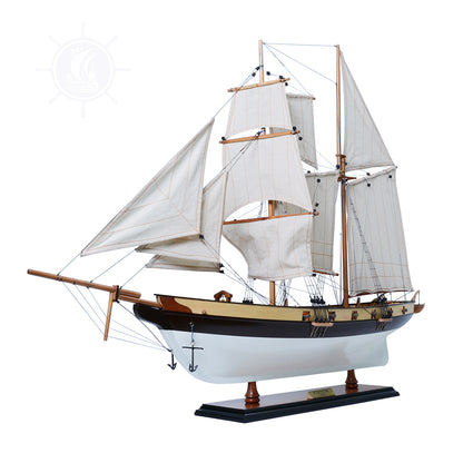 Lynx Painted Tall Ship Model Captain Line