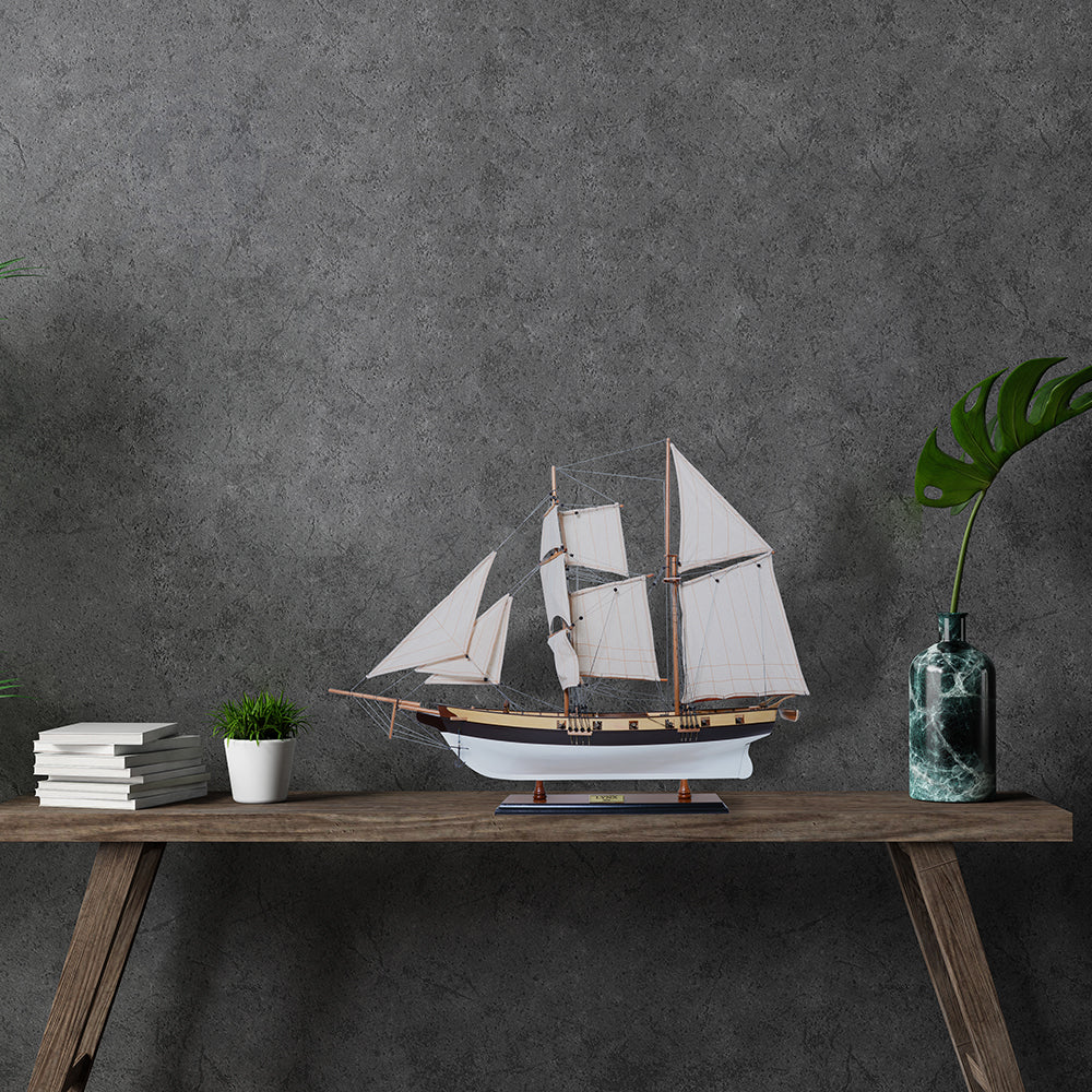 Lynx Painted Tall Ship Model Captain Line