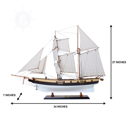 Lynx Painted Tall Ship Model Captain Line