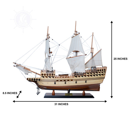 Mayflower Medium - Ligne Captain entièrement assemblée