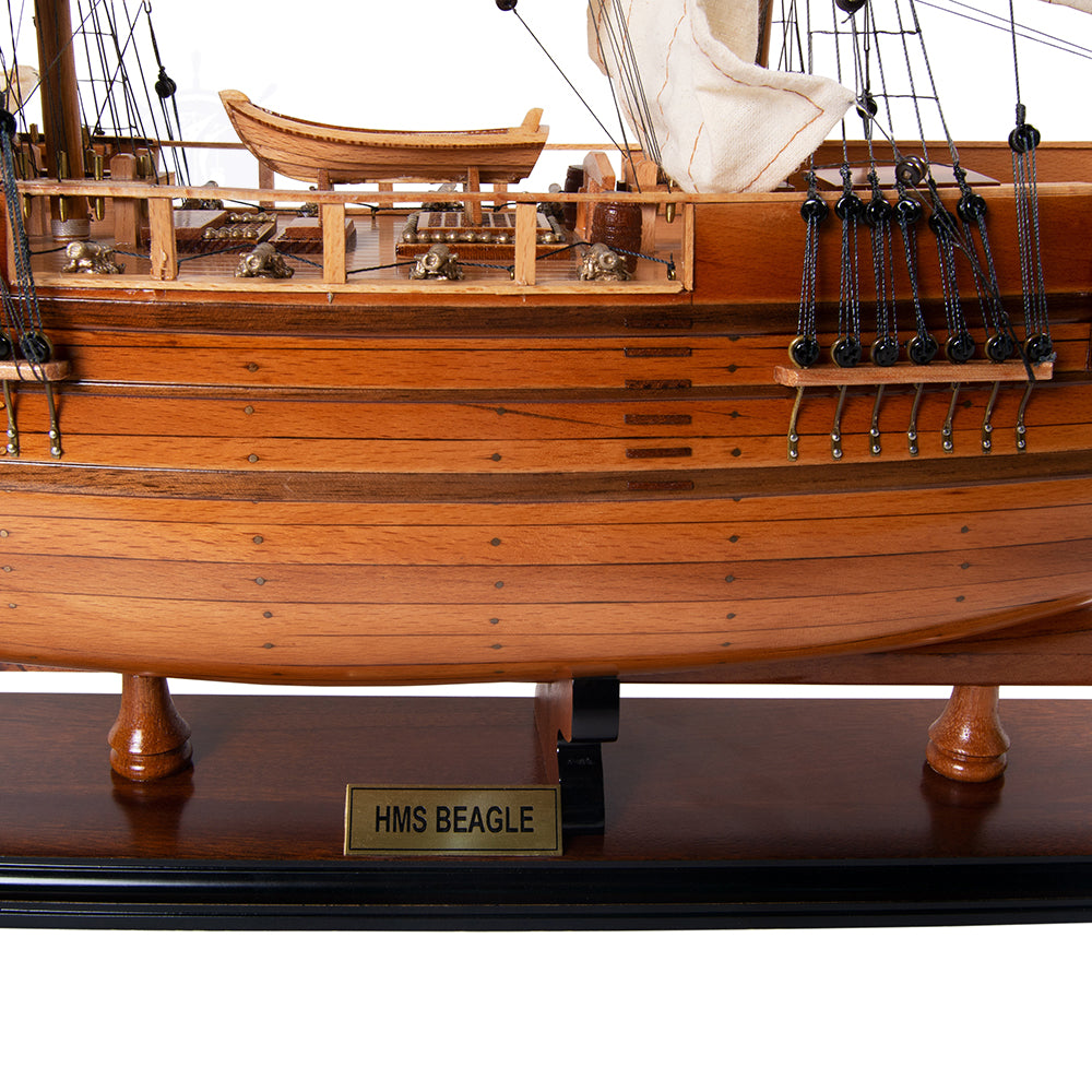 Beagle Ship Model Admiral Line