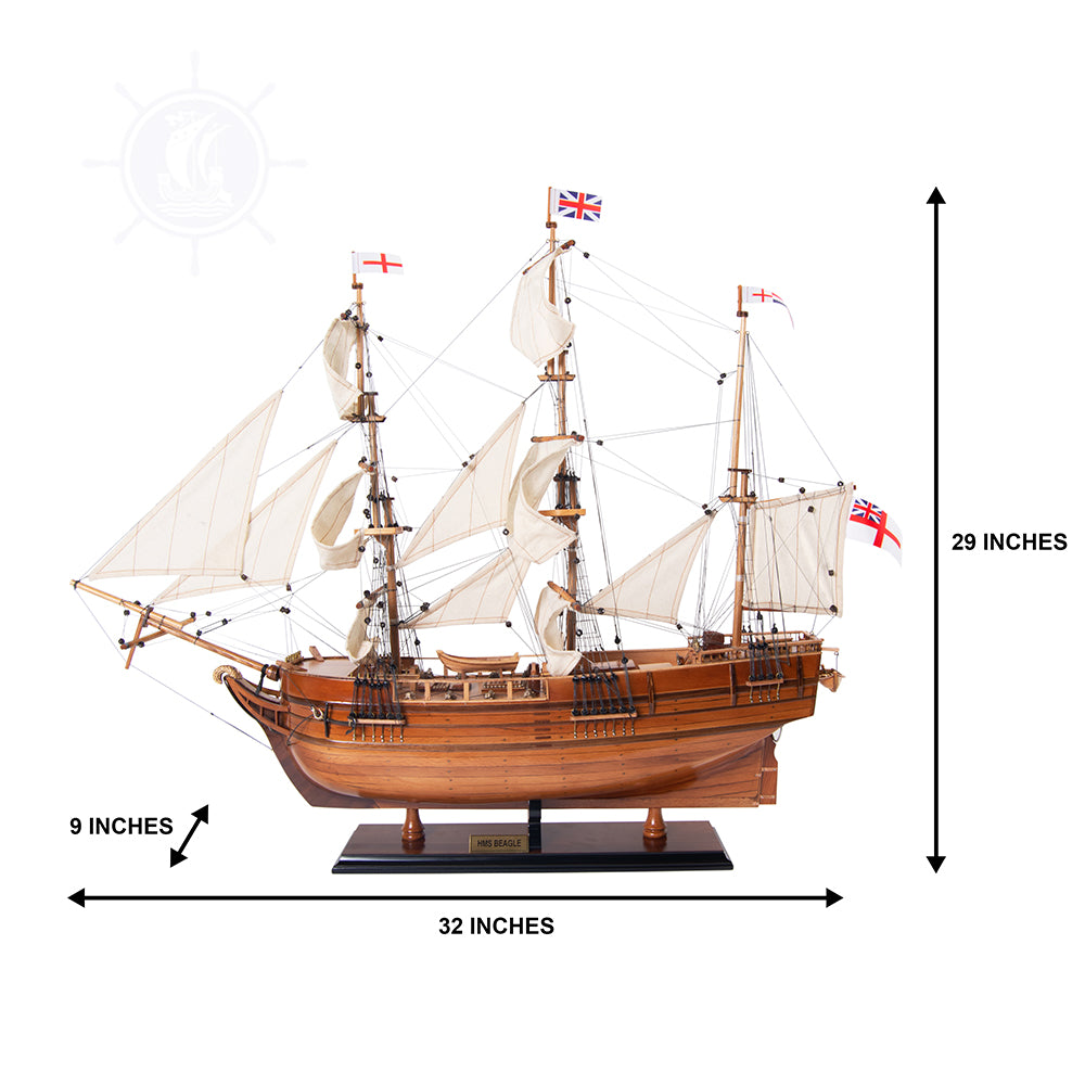 Beagle Ship Model Admiral Line