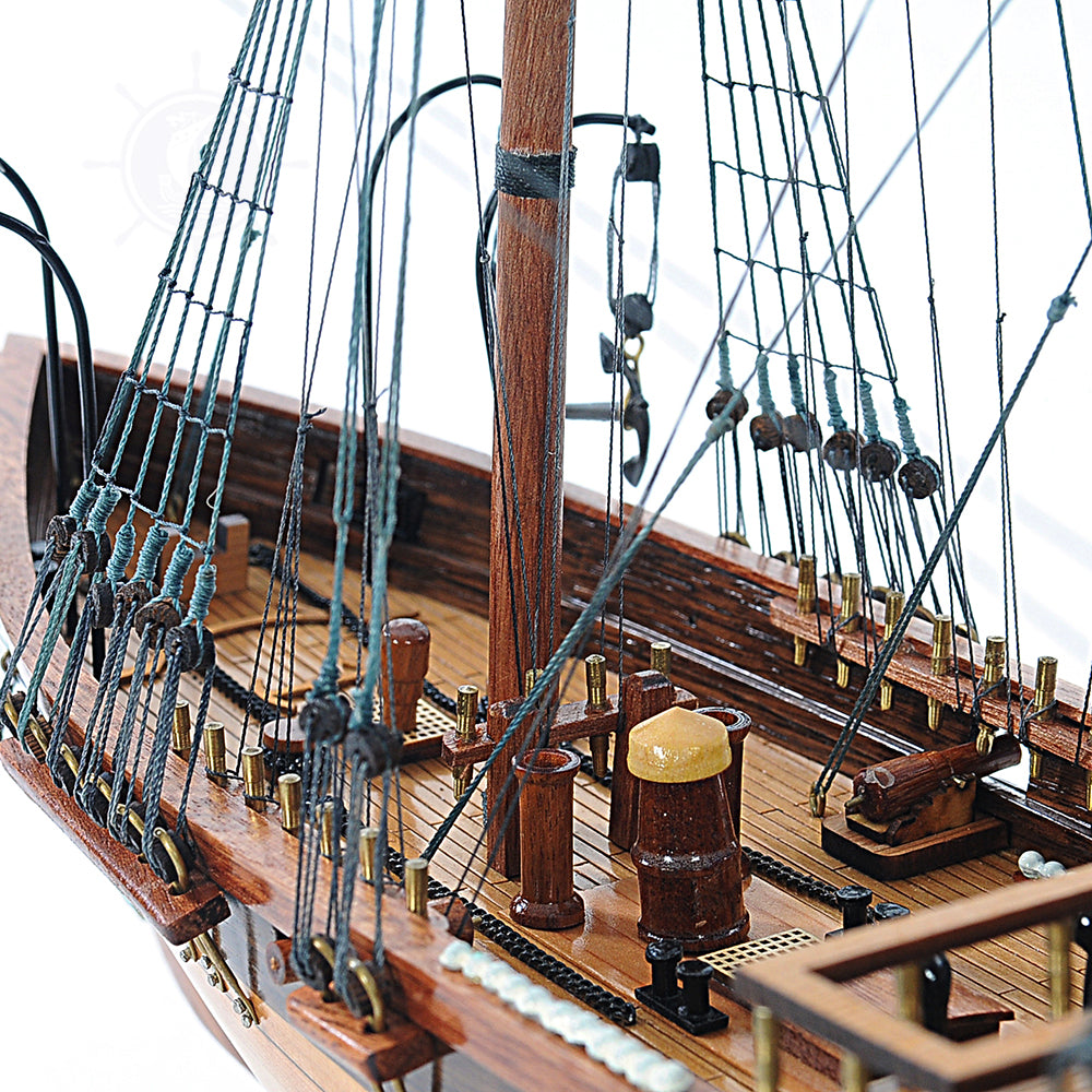 CSS Alabama w/o Sail Admiral Line