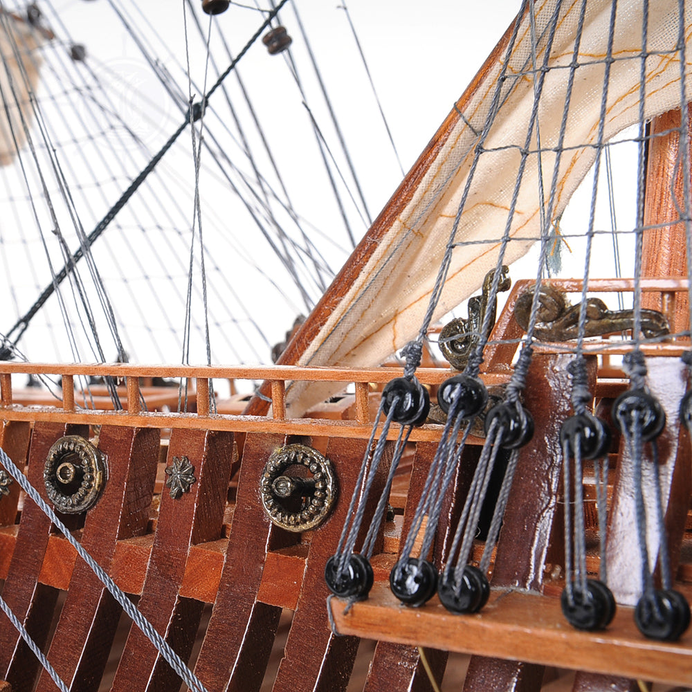 San Felipe Open Hull Admiral Line