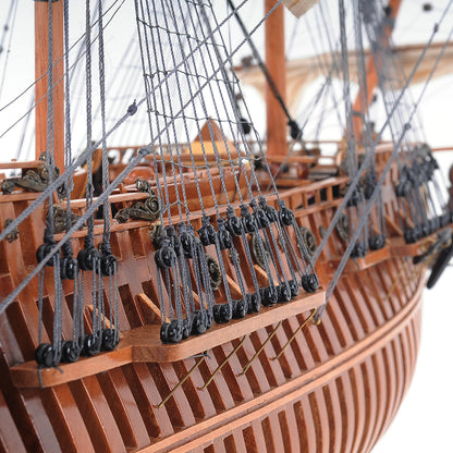 San Felipe Open Hull Admiral Line