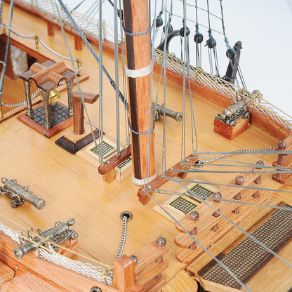 HMS Victory 56L With Display Case XL No Glass
