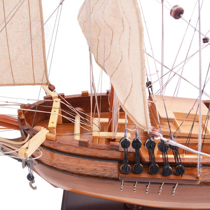Lady Washington Ship Model Captain Line
