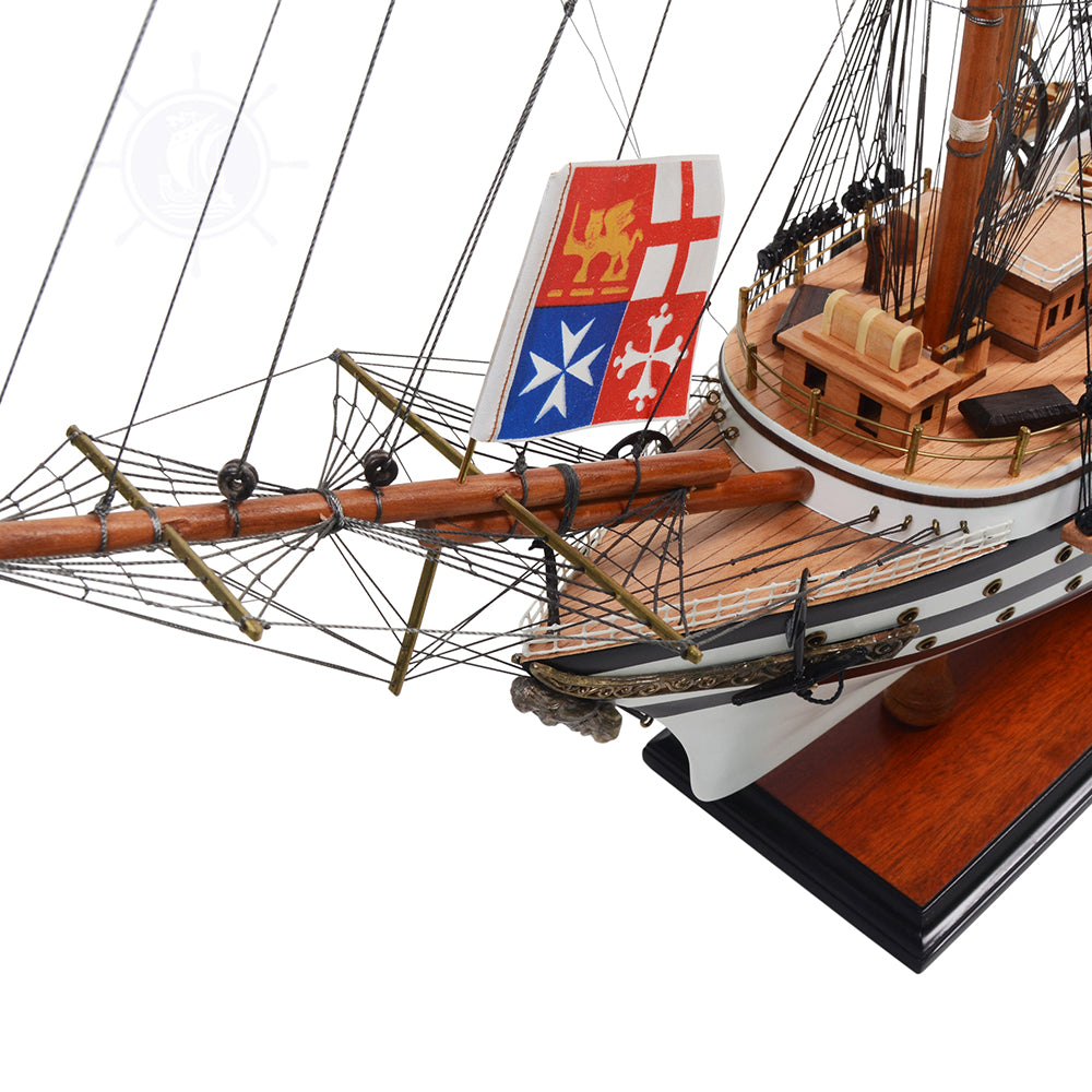 Amerigo Vespucci Painted Medium