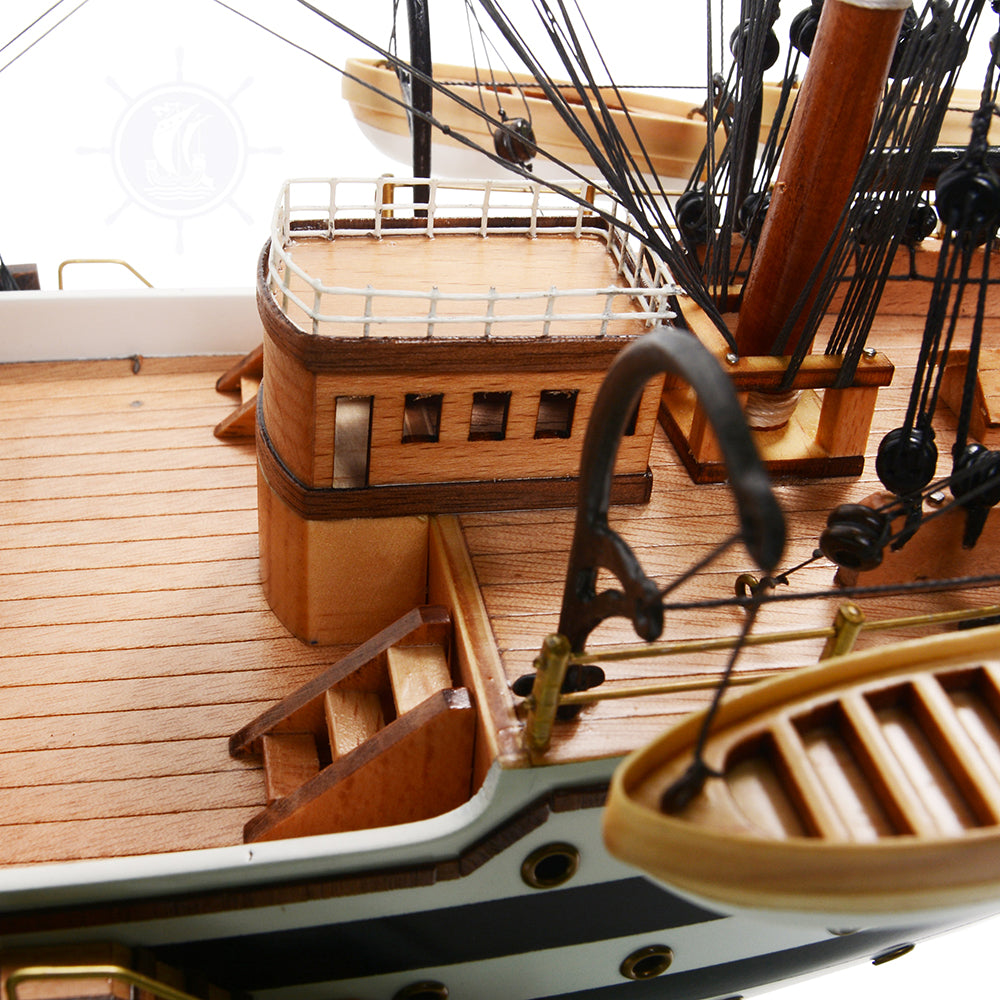 Amerigo Vespucci Painted Medium