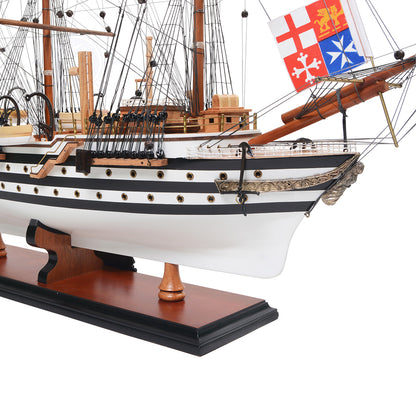 Amerigo Vespucci Painted Medium