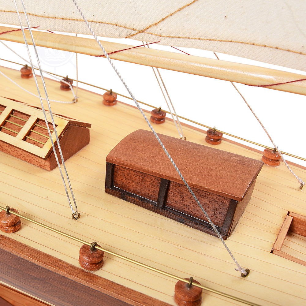 Shamrock Yacht L
