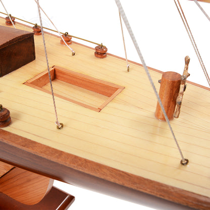Shamrock Yacht L