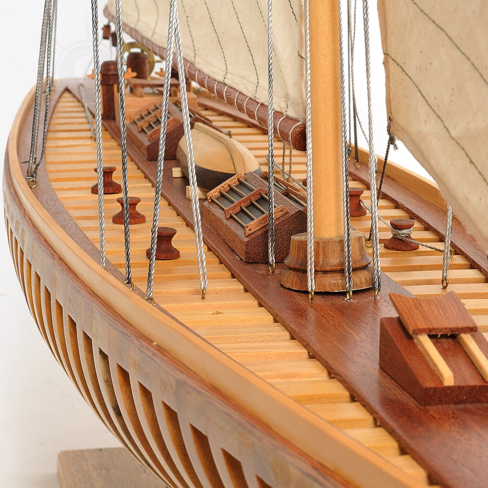 Shamrock Open Hull